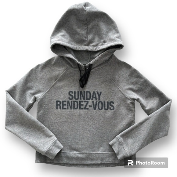 Aritzia Sunday Best Hooded Cotton Sweatshirt Crop Gray Size XXS - Picture 1 of 15